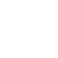 Die 1
